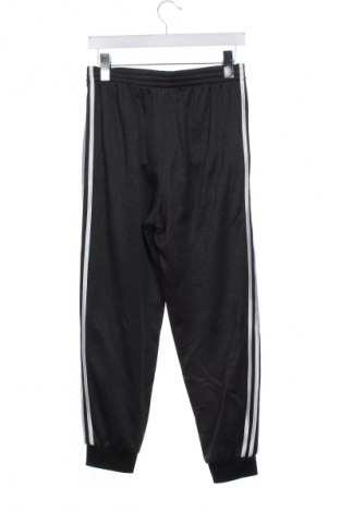 Dziecięce spodnie sportowe Adidas, Rozmiar 15-18y/ 170-176 cm, Kolor Szary, Cena 79,79 zł