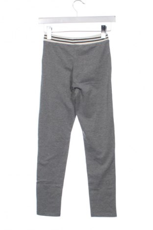 Παιδική κάτω φόρμα Zara, Μέγεθος 12-13y/ 158-164 εκ., Χρώμα Γκρί, Τιμή 10,99 €