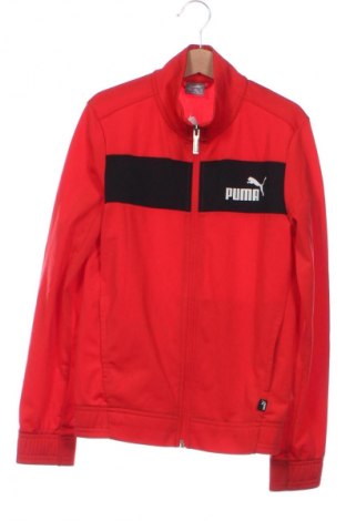 Kinder Sportoberteil PUMA, Größe 8-9y/ 134-140 cm, Farbe Mehrfarbig, Preis € 23,99