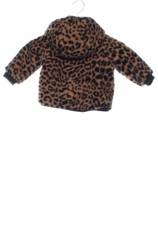Dětská bunda  Zara, Velikost 9-12m/ 74-80 cm, Barva Vícebarevné, Cena  247,00 Kč