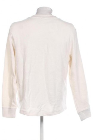 Herren Shirt Calvin Klein Jeans, Größe L, Farbe Ecru, Preis € 64,99