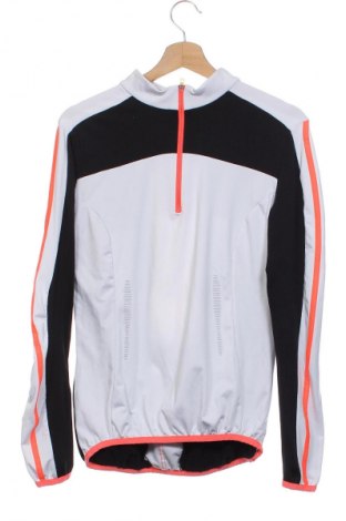 Herren Shirt Crane, Größe XS, Farbe Mehrfarbig, Preis € 11,58