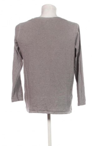 Męska bluzka Livergy, Rozmiar L, Kolor Kolorowy, Cena 62,99 zł