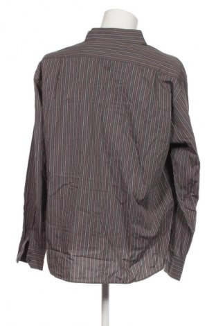 Herrenhemd Jack Reid, Größe XL, Farbe Mehrfarbig, Preis € 20,99