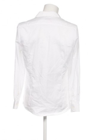 Herrenhemd Royal Class, Größe L, Farbe Weiß, Preis € 20,99