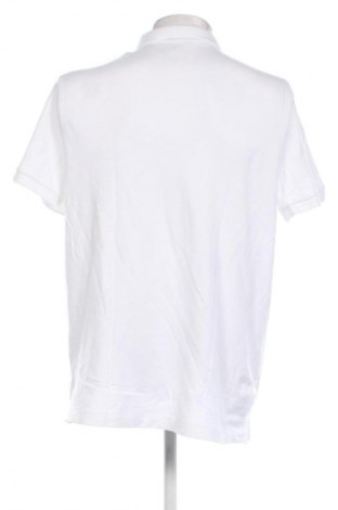 Herren T-Shirt Abercrombie & Fitch, Größe XL, Farbe Weiß, Preis 31,99 €