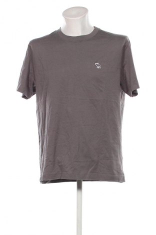 Herren T-Shirt Abercrombie & Fitch, Größe XL, Farbe Grau, Preis € 23,99