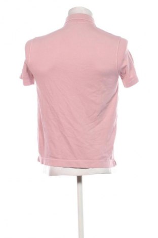 Herren T-Shirt CIRCOLO 1901, Größe S, Farbe Rosa, Preis 85,99 €