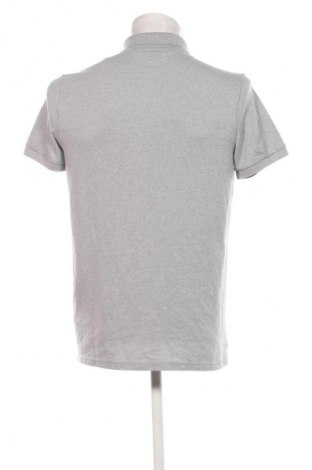 Herren T-Shirt Hollister, Größe M, Farbe Grau, Preis € 32,99