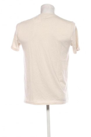 Herren T-Shirt Hollister, Größe M, Farbe Ecru, Preis € 10,99
