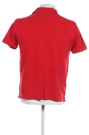 Ανδρικό t-shirt U.S. Polo Assn., Μέγεθος L, Χρώμα Κόκκινο, Τιμή 25,37 €