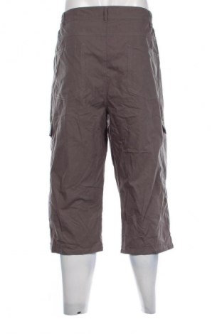 Herren Shorts Catamaran, Größe 3XL, Farbe Grün, Preis 23,99 €