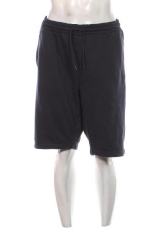 Pánske kraťasy  JP 1880, Veľkosť 4XL, Farba Modrá, Cena  19,95 €