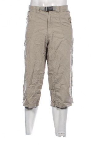 Herrenhose Tailor & Son, Größe XL, Farbe Grün, Preis 14,99 €