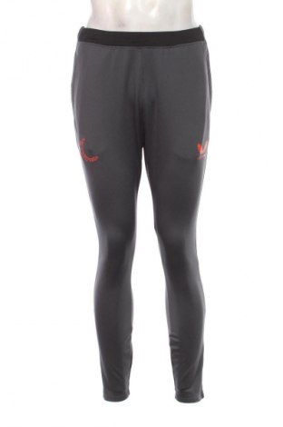 Herren Sporthose Castore, Größe M, Farbe Grau, Preis 33,99 €