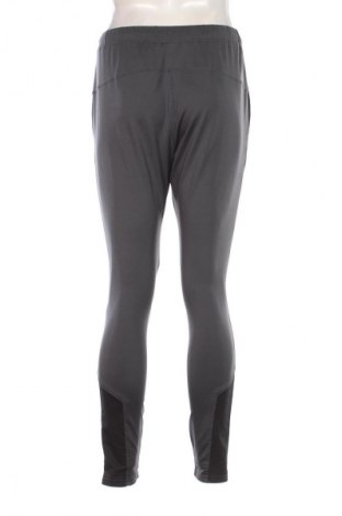 Herren Sporthose Castore, Größe M, Farbe Grau, Preis 33,99 €