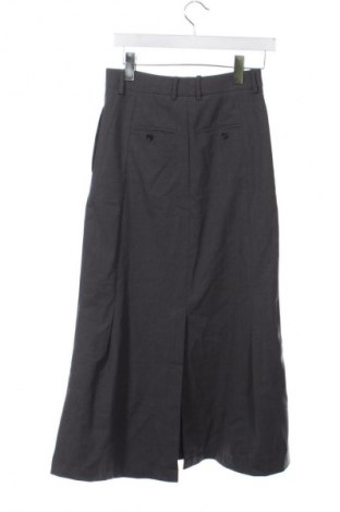 Fustă & Other Stories, Mărime XS, Culoare Gri, Preț 476,99 Lei
