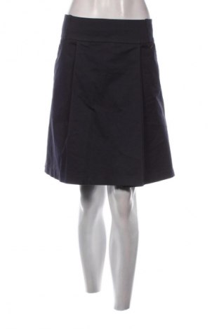 Sukňa Calvin Klein, Veľkosť M, Farba Modrá, Cena  57,12 €