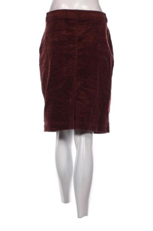 Φούστα Esprit, Μέγεθος M, Χρώμα Καφέ, Τιμή 26,99 €