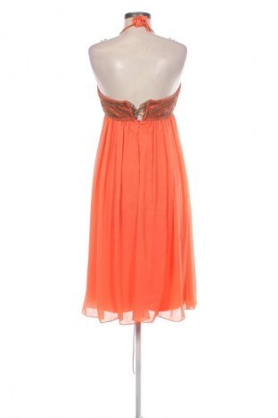 Kleid Apart, Größe M, Farbe Orange, Preis 66,99 €