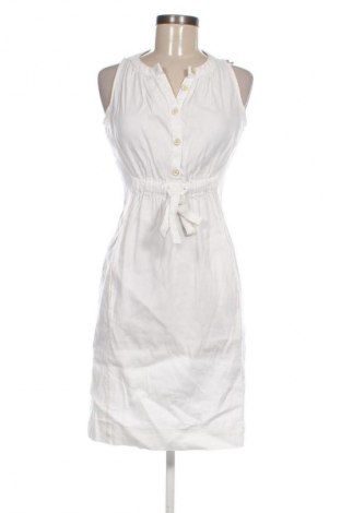 Kleid Armani Jeans, Größe M, Farbe Ecru, Preis 142,99 €