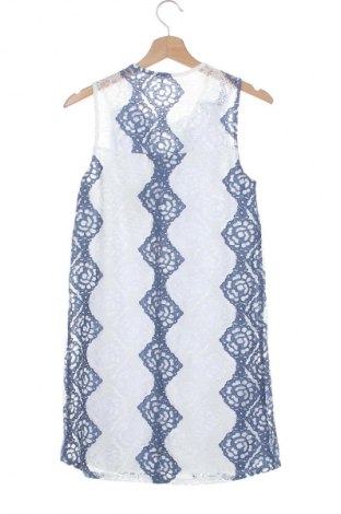 Kleid BCBG Max Azria, Größe XS, Farbe Mehrfarbig, Preis 66,50 €