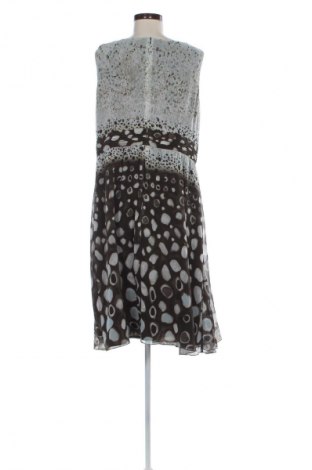 Sukienka Betty Barclay, Rozmiar 3XL, Kolor Kolorowy, Cena 315,99 zł