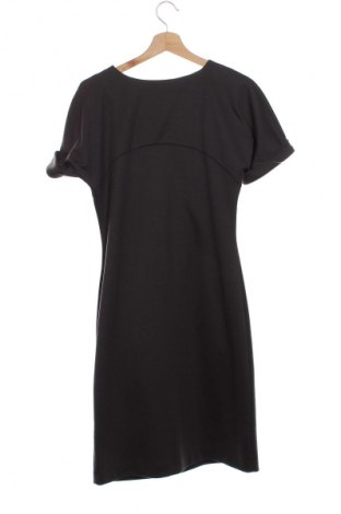 Kleid Danini, Größe XS, Farbe Aschrosa, Preis 23,53 €