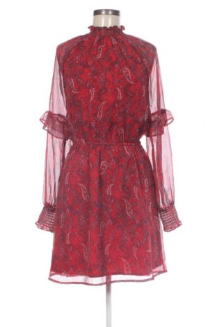 Kleid Dorothy Perkins, Größe M, Farbe Mehrfarbig, Preis 42,99 €