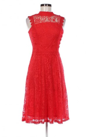 Kleid Dorothy Perkins, Größe S, Farbe Rot, Preis 13,94 €