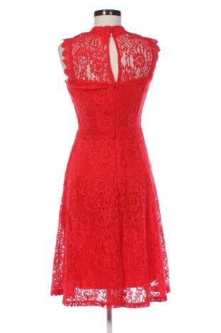 Kleid Dorothy Perkins, Größe S, Farbe Rot, Preis 13,94 €