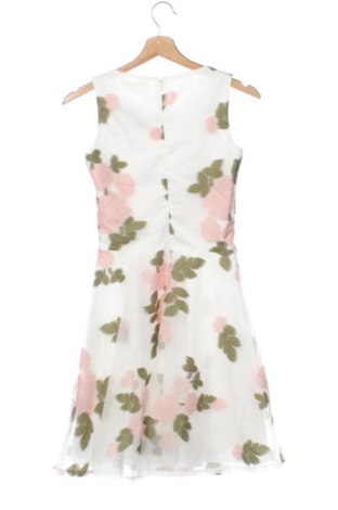 Rochie Fervente, Mărime XXS, Culoare Multicolor, Preț 63,99 Lei