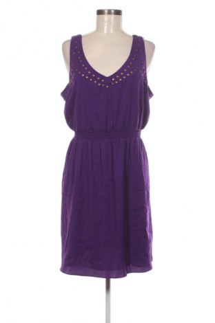Kleid Gianni Bini, Größe L, Farbe Lila, Preis 33,99 €