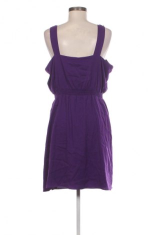 Kleid Gianni Bini, Größe L, Farbe Lila, Preis 33,99 €