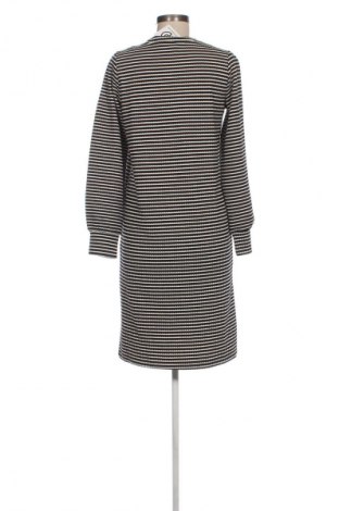 Φόρεμα Hema, Μέγεθος S, Χρώμα Πολύχρωμο, Τιμή 18,99 €