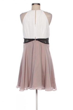 Kleid Jake*s, Größe L, Farbe Mehrfarbig, Preis 87,99 €