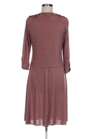 Kleid Lola & Liza, Größe L, Farbe Mehrfarbig, Preis € 10,99