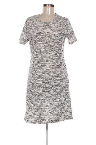 Kleid Mexx, Größe XL, Farbe Mehrfarbig, Preis 33,99 €