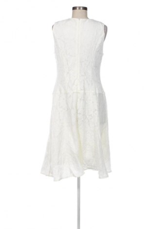 Kleid Next, Größe XL, Farbe Ecru, Preis 25,98 €
