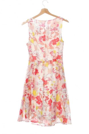 Kleid Orsay, Größe XS, Farbe Mehrfarbig, Preis 16,99 €