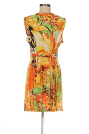 Rochie Paola, Mărime L, Culoare Multicolor, Preț 98,99 Lei