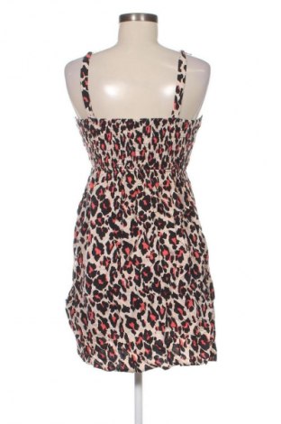 Kleid Papaya, Größe M, Farbe Mehrfarbig, Preis 16,99 €