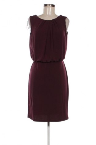 Kleid Papaya, Größe L, Farbe Braun, Preis € 12,99