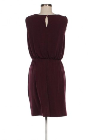 Kleid Papaya, Größe L, Farbe Braun, Preis € 12,99
