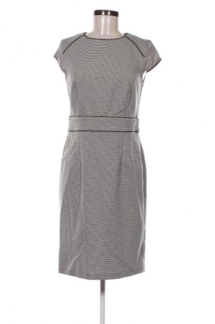 Kleid Papaya, Größe M, Farbe Mehrfarbig, Preis € 20,99
