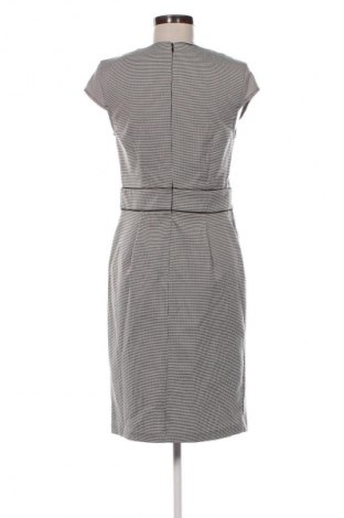 Kleid Papaya, Größe M, Farbe Mehrfarbig, Preis € 20,99