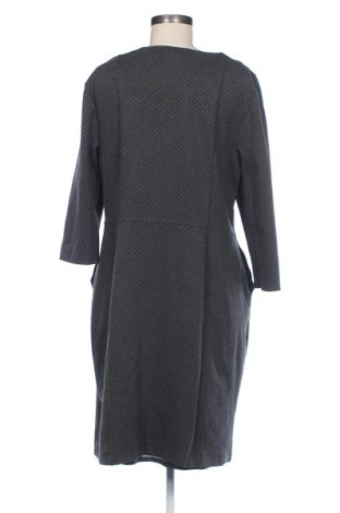 Kleid Peter Hahn, Größe XL, Farbe Mehrfarbig, Preis € 41,90