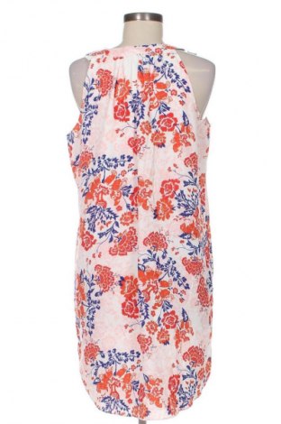 Kleid Rose & Olive, Größe L, Farbe Mehrfarbig, Preis € 15,99