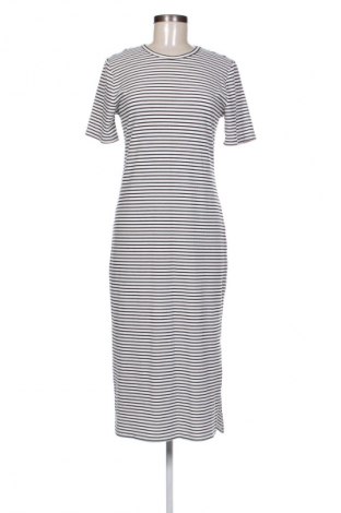 Kleid Sinsay, Größe L, Farbe Mehrfarbig, Preis 10,31 €