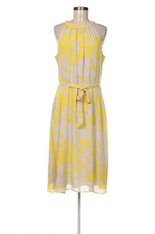 Kleid Target, Größe XL, Farbe Mehrfarbig, Preis 20,99 €